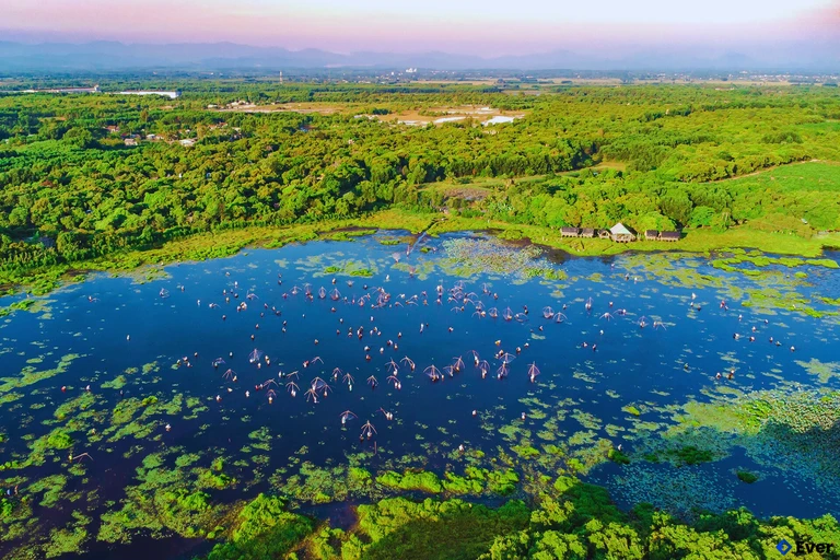 Lễ hội Phá trằm Trà Lộc