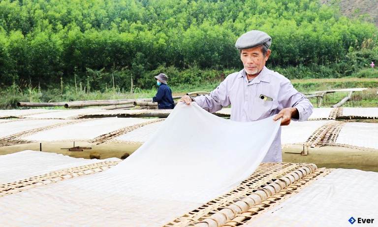 Miến Dong - được đưa vào chương trình OCOP của xã Tuấn Đạo