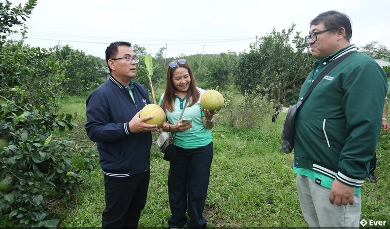 Mô hình kinh tế cây ăn quả trên địa bàn