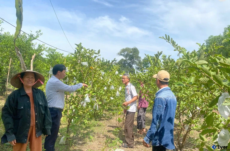 Mô hình kinh tế vườn kiểu mẫu