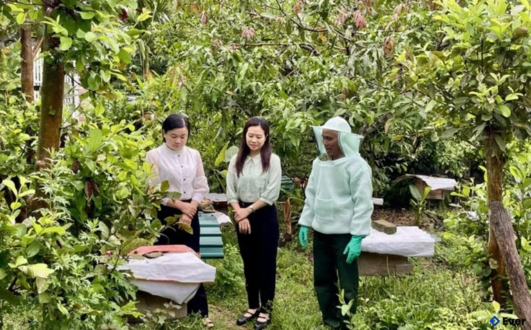 Mô hình nuôi ong cho hiệu quả kinh tế cao của hộ gia đình ông Nguyễn Xuân Quý, thôn Làng Gió.