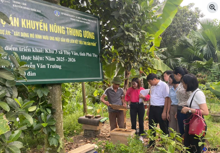 Mô hình nuôi ong mật gắn với liên kết tiêu thụ sản phẩm tại xã Thọ Văn