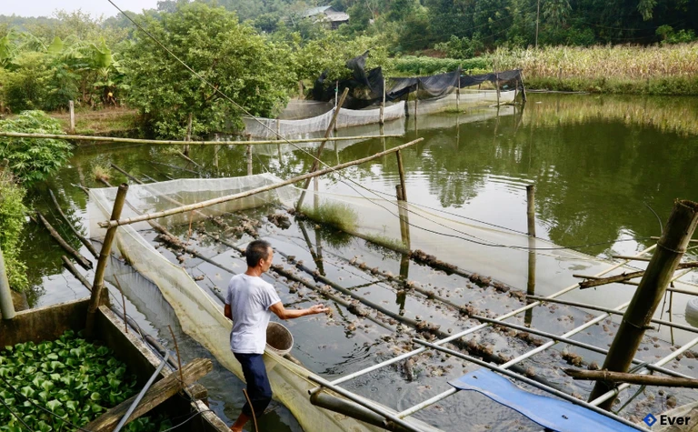 Mô hình phát triển kinh tế của CCB Bùi Ngọc Cương, xã Trạm Thản