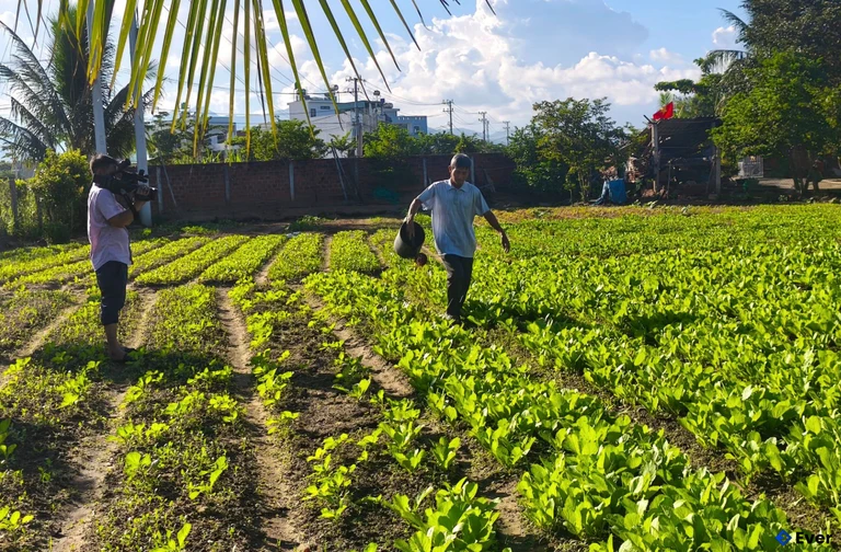 Mô hình phát triển kinh tế tại xã Phù Mỹ