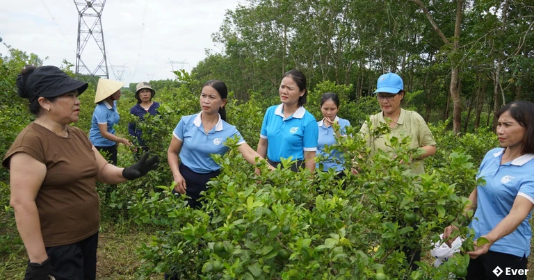 Mô hình phát triển trang trại ở xã Trường Phú