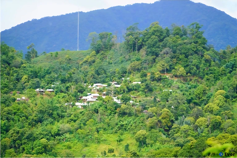 Một góc quang cảnh xã Trà Vân sau sáp nhập