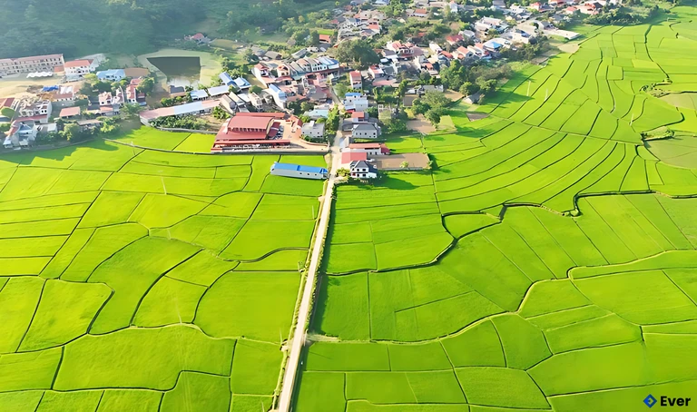 Một góc xã Nam Cường với những cánh đồng trù phú.