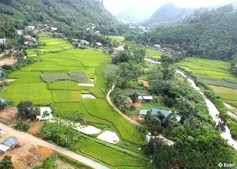 Một góc xã Tri Phú nhìn từ trên cao