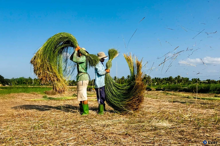 Nét đẹp trong văn hóa làng nghề Tây An thuộc Huyện Tiền Hải