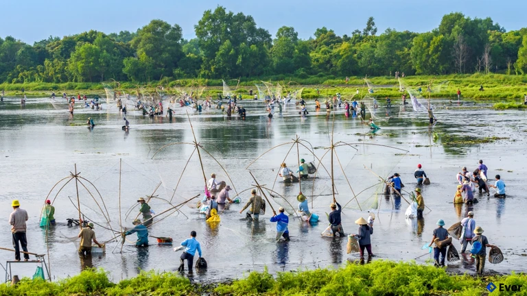 Ngày hội Phá trằm tại thôn Trà Lộc, xã Vĩnh Định, Quảng Trị