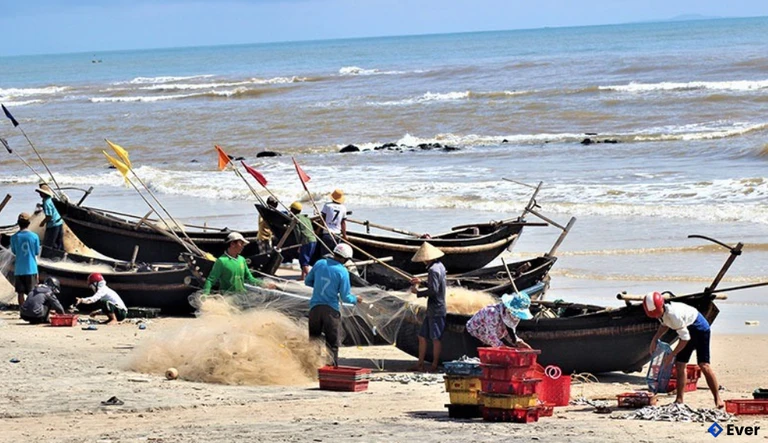 Ngư dân xã Vĩnh Hoàng tất bật gỡ lưới, phân loại thủy sản ngay trên bãi biển sau chuyến biển sớm