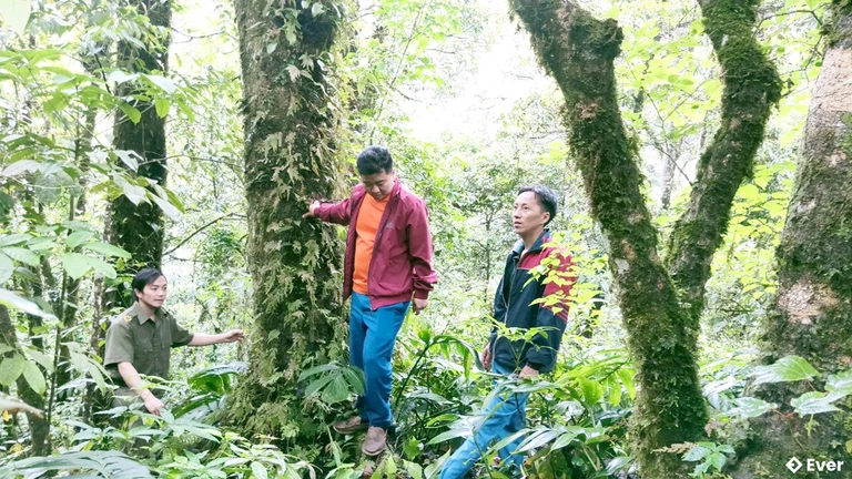 Người dân và lực lượng chức năng xã Ngọc Long tuần tra rừng.