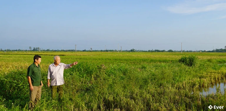 Người dân xã Nam Thụy Anh đồng thuận, tích cực bàn giao đất phục vụ dự án cao tốc CT08
