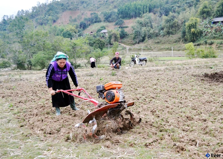 Người dân xã Niêm Sơn làm đất gieo trồng cây vụ Đông.