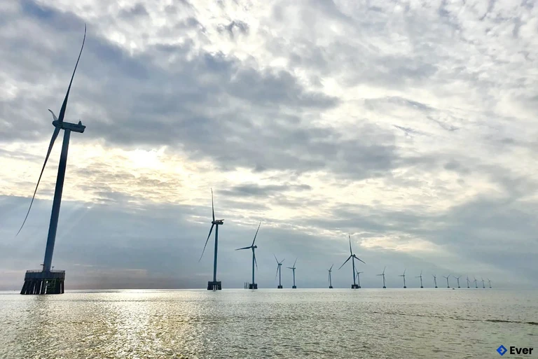 Nhà máy điện gió 100 MW thuộc khu vực xã Tân Thuận