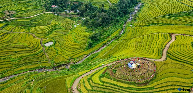 NhãnRuộng bậc thang tại xã Thượng Cốc là điểm nhấn của Lễ hội ruộng bậc thang Miền Đồi năm 2025