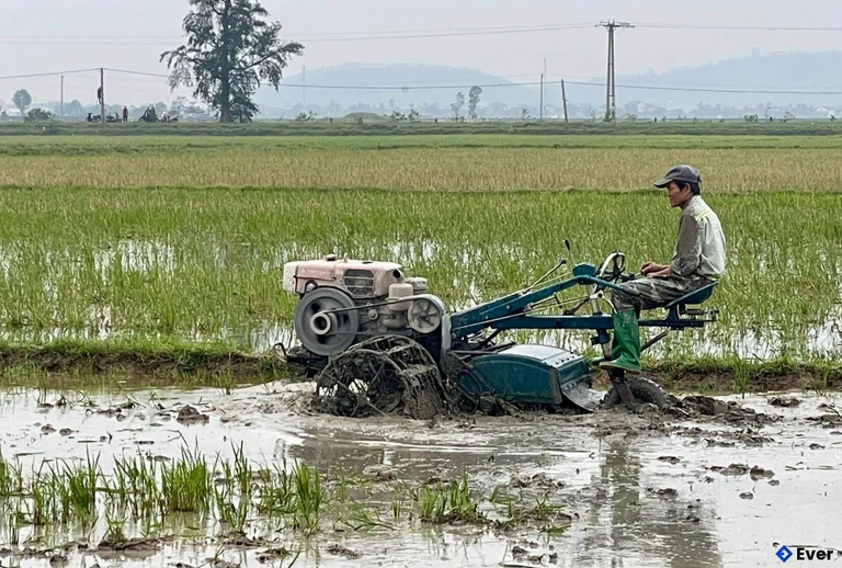 Nông dân xã hồng lộc khẩn trương làm đât, chuẩn bị sản xuất vụ xuân năm 2026