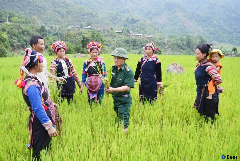 Nông nghiệp được xác định là ngành mũi nhọn trong phát triển kinh tế tại xã Pa Ủ