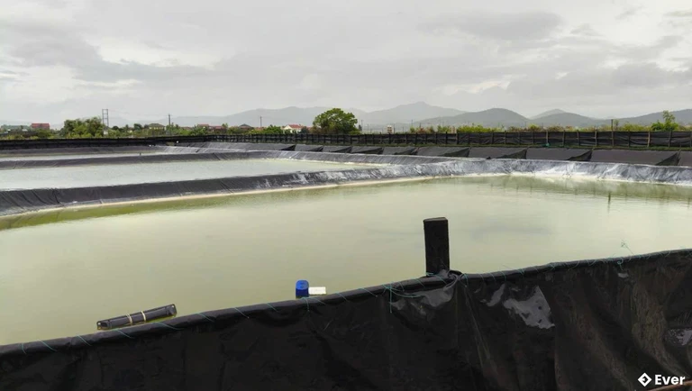 Nuôi trồng thủy sản tại xã Bắc Trạch