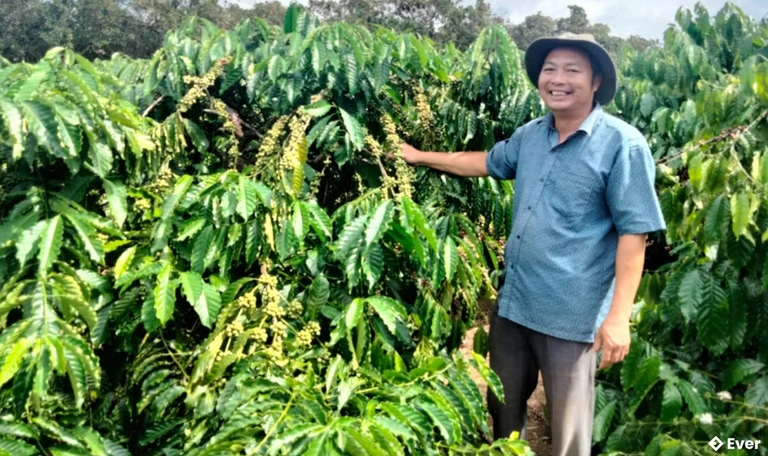 Ông Bùi Văn Dũng bên vườn cà phê của gia đình
