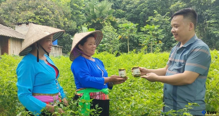 Ớt Rẽ Phú Lương được công nhận OCOP 3 sao, xã Quyết Thắng