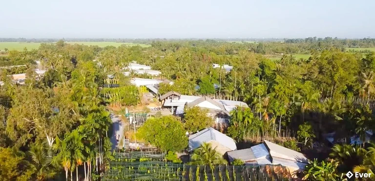 Phát triển mô hình canh tác tại khu vực làng trầu xã Vị Thủy