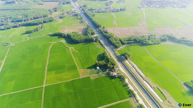 Phát triển nông nghiệp bền vững và ứng dụng công nghệ cao trong sản xuất tại xã Thăng Phú