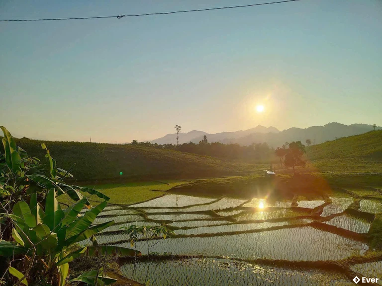 Phát triển nông nghiệp phù hợp với điều kiện đất đai tại xã Phước Chánh