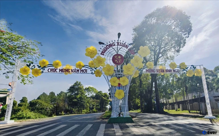 Phường Xuân Lập chú trọng mở rộng, nâng cấp các tuyến đường chính