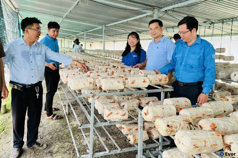 Quy hoạch định hướng xã Mỹ Quý phát triển nông nghiệp theo hướng ứng dụng công nghệ cao, nâng cao năng suất và giá trị sản phẩm