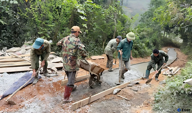 Quy hoạch đường tại xã Phong Quang