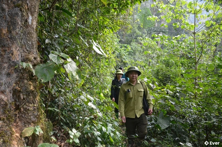 Quy hoạch không gian xanh tại xã Yên Thịnh