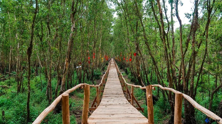 Rừng Tràm Trà Sư - Tịnh Biên, An Giang