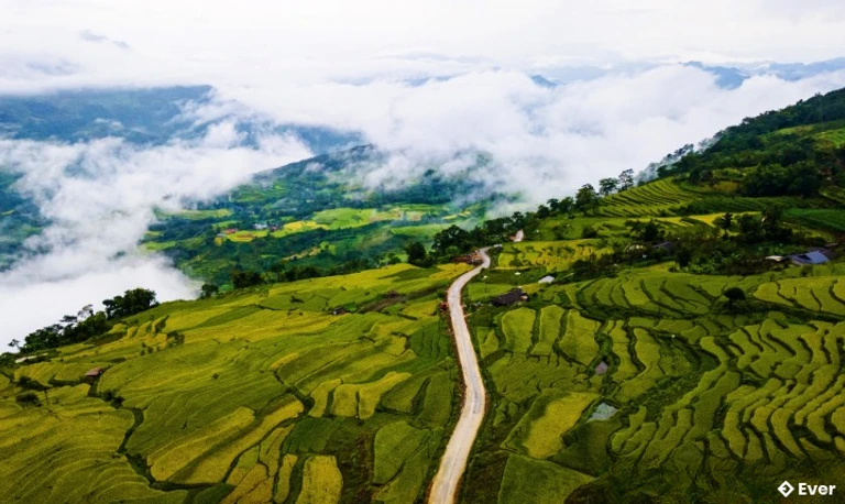 Ruộng bậc thang Hồng Thái mùa lúa chín