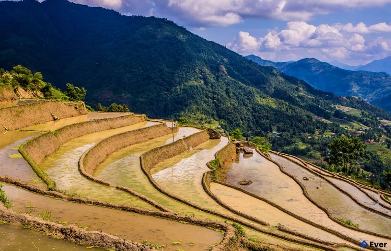 Ruộng bậc thang tại xã Thanh Bồng