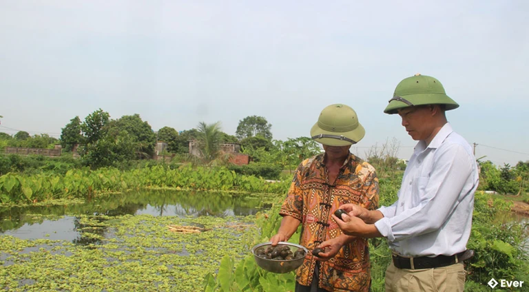 Sản phẩm ốc bươu ta của HTX Chăn nuôi tổng hợp được công nhận đạt OCOP 3 sao.