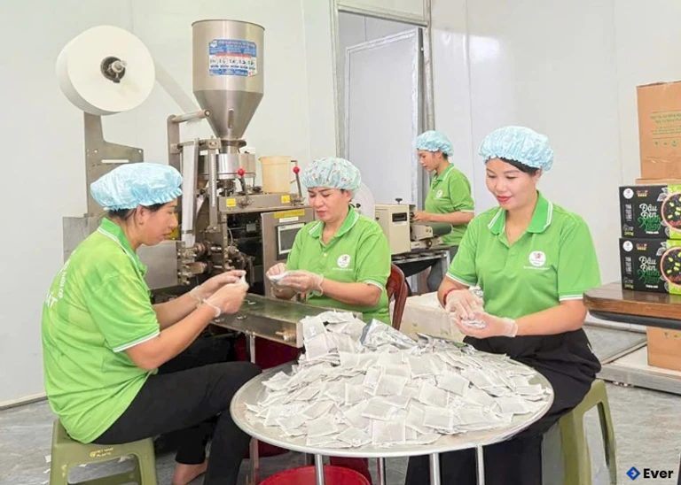 Sản phẩm trà túi lọc đậu đen xanh lòng của HTX Nông nghiệp hữu cơ Hồng Phát, xã Kim Bình