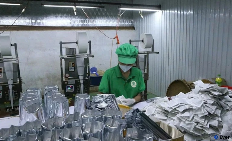 Sản xuất sản phẩm OCOP trà xạ đen - cà gai leo Happlife, xã Cẩm Thạch