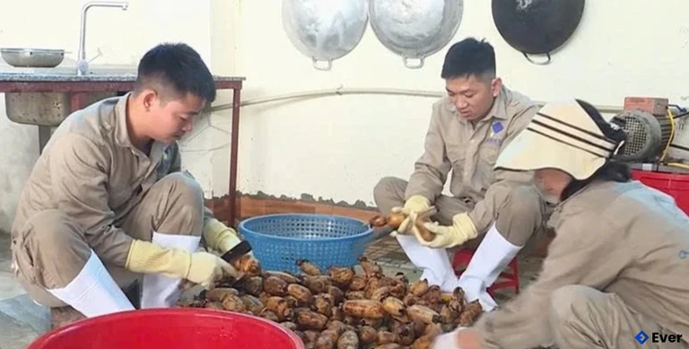 Sản xuất sản phẩm tinh bột củ sen An Nhiên tại hộ gia đình anh Trần Văn Dũng ở xã Yên Định