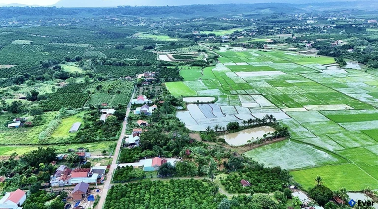 Sơn Lang tập trung tái cơ cấu nông - lâm nghiệp, mở rộng diện tích cây trồng chủ lực, phát triển lâm nghiệp gắn với bảo vệ rừng