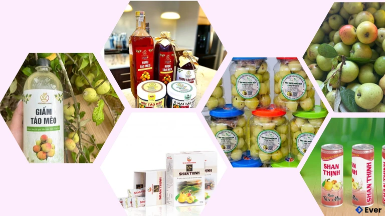 Sơn tra được chế biến thành đa dạng sản phẩm tại xã Nậm Có