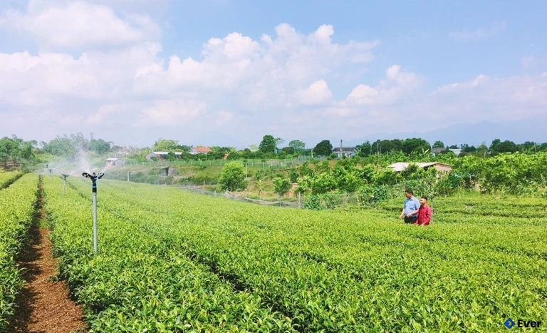 Tầm nhìn phát triển kinh tế xã Quảng Đức