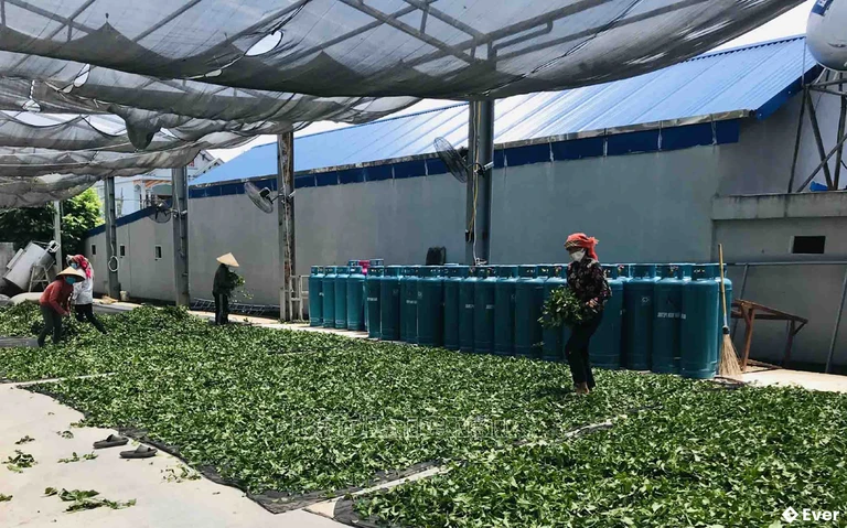 Tầm nhìn phát triển xã Bản Bo