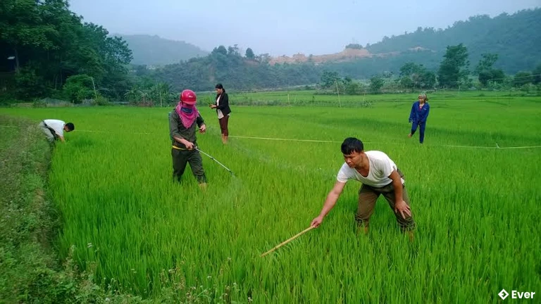 Tầm nhìn phát triển xã Bum Nưa