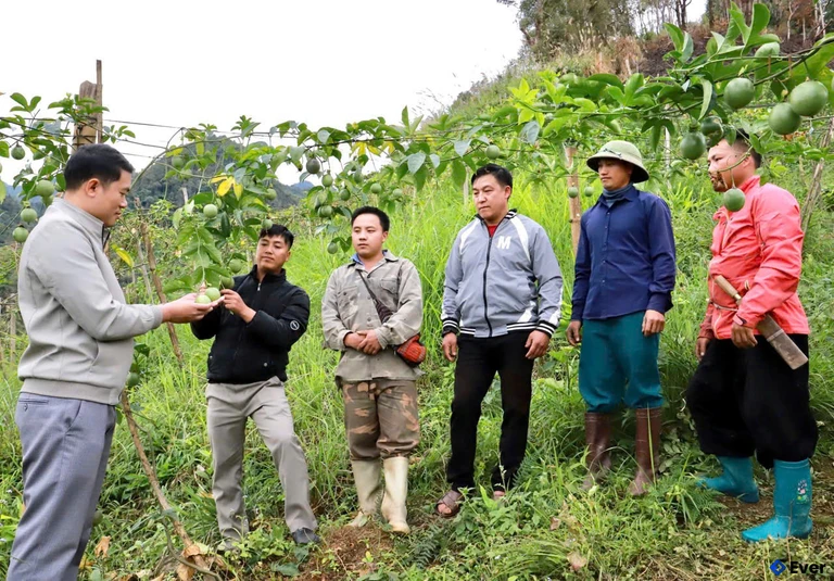 Tầm nhìn phát triển xã Khun Há