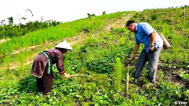 Tầm nhìn phát triển xã Kỳ Thượng