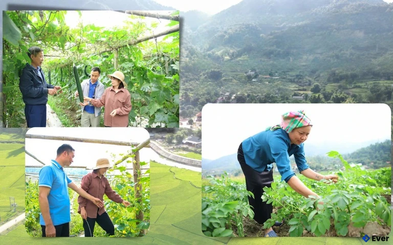 Tầm nhìn phát triển xã Mường Kim