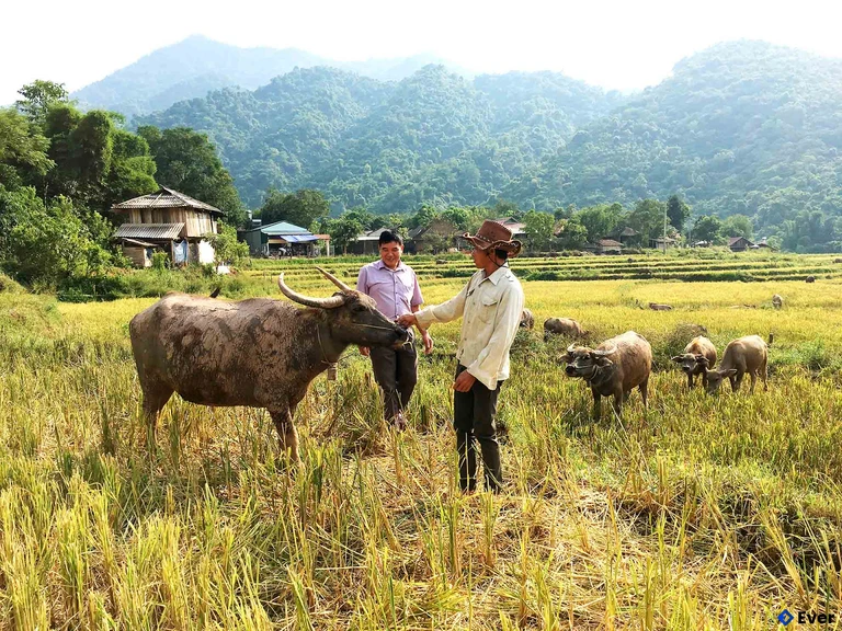 Tầm nhìn phát triển xã Nậm Cuổi