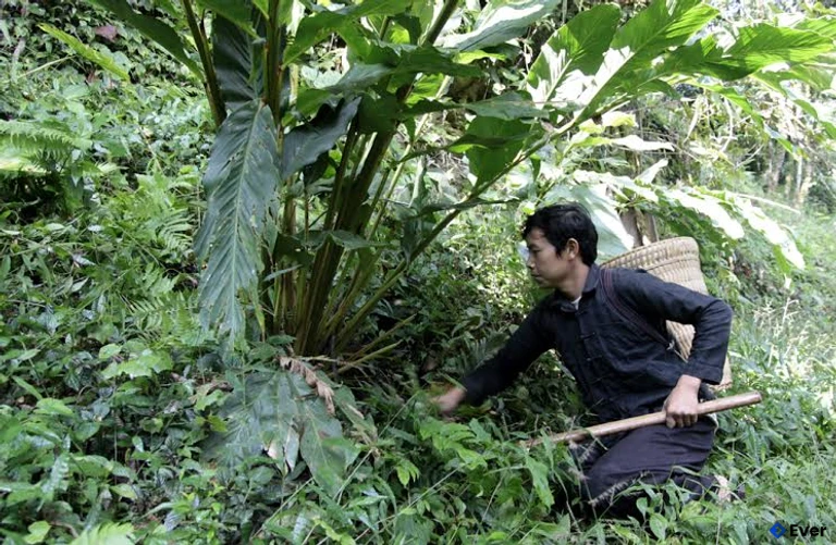 Tầm nhìn phát triển xã Tủa Sín Chải