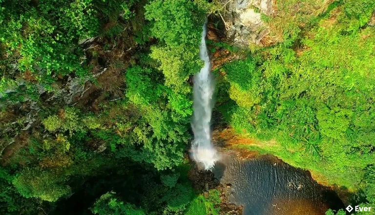 Thác Mạ Héc nhìn từ trên cao, xung quanh là rừng nguyên sinh Cham Chu.